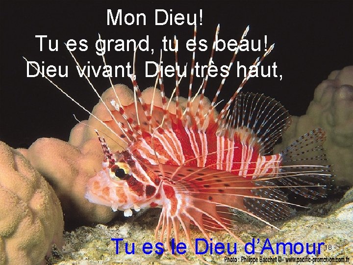 Mon Dieu! Tu es grand, tu es beau! Dieu vivant, Dieu très haut, Tu