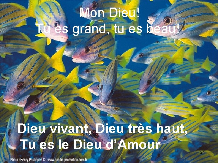 Mon Dieu! Tu es grand, tu es beau! Dieu vivant, Dieu très haut, Tu