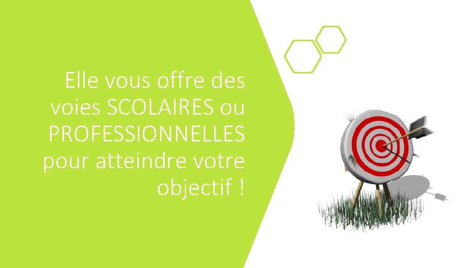 Elle vous offre des voies SCOLAIRES ou PROFESSIONNELLES pour atteindre votre objectif ! 