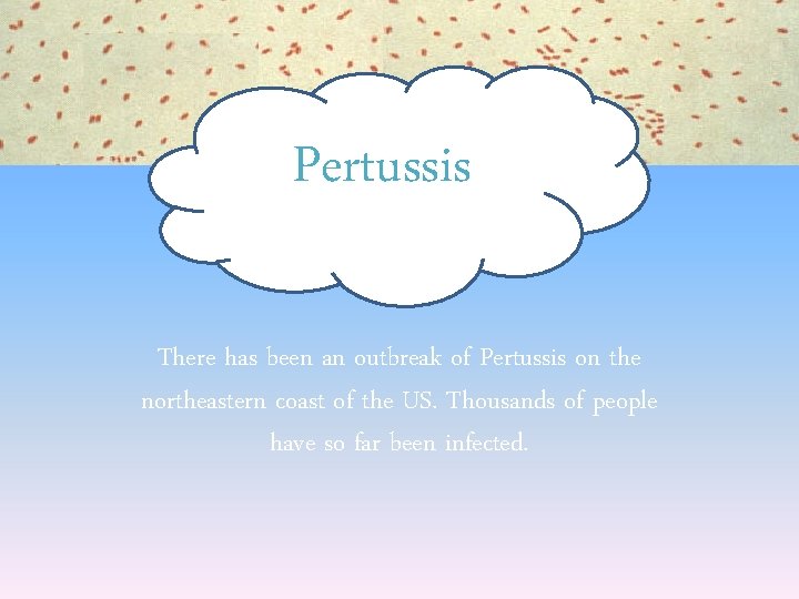 Pertussis There has been an outbreak of Pertussis on the northeastern coast of the