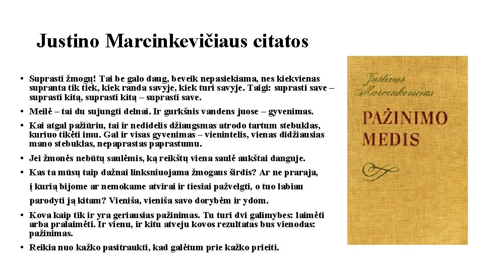 Justino Marcinkevičiaus citatos • Suprasti žmogų! Tai be galo daug, beveik nepasiekiama, nes kiekvienas