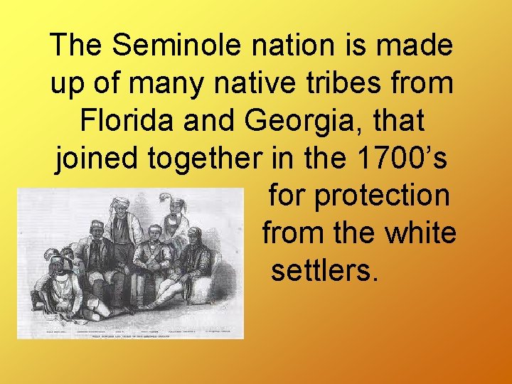 The Seminole nation is made up of many native tribes from Florida and Georgia,