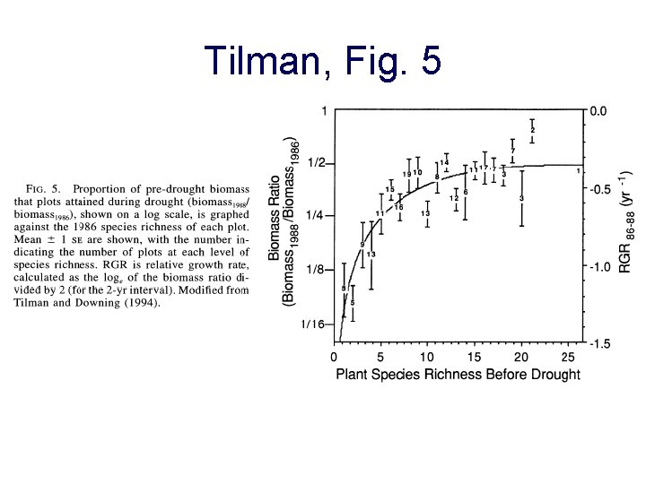 Tilman, Fig. 5 