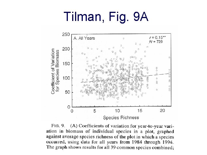 Tilman, Fig. 9 A 