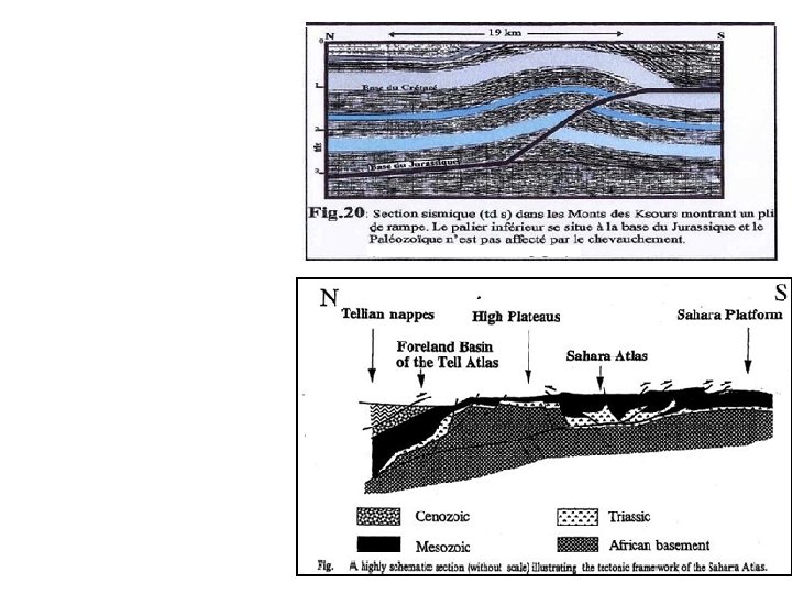 sud atlasique le plus important aurait eu un rôle d’abord paléogéographique en séparant la