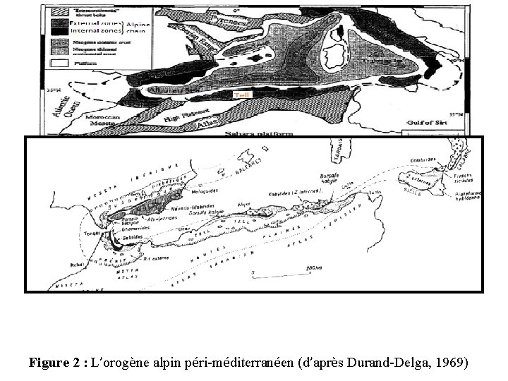 Figure 2 : L’orogène alpin péri-méditerranéen (d’après Durand-Delga, 1969) 
