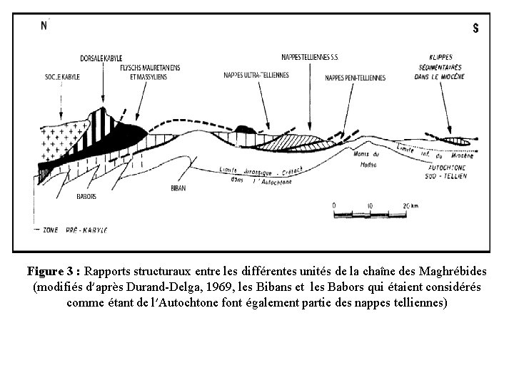 Figure 3 : Rapports structuraux entre les différentes unités de la chaîne des Maghrébides