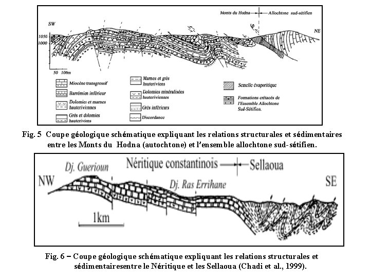 Fig. 5 Coupe géologique schématique expliquant les relations structurales et sédimentaires entre les Monts