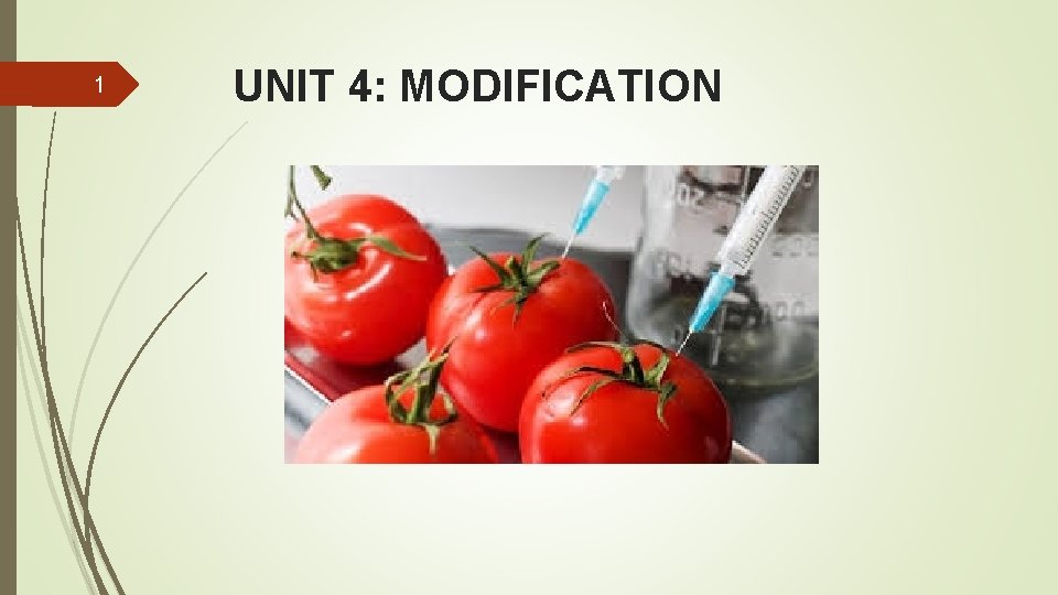 1 UNIT 4: MODIFICATION 