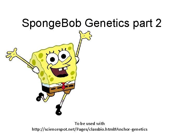 Sponge. Bob Genetics part 2 To be used with http: //sciencespot. net/Pages/classbio. html#Anchor-genetics 