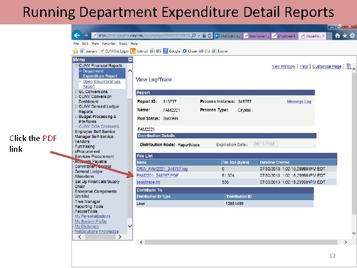 Running Department Expenditure Detail Reports Click the PDF link 12 