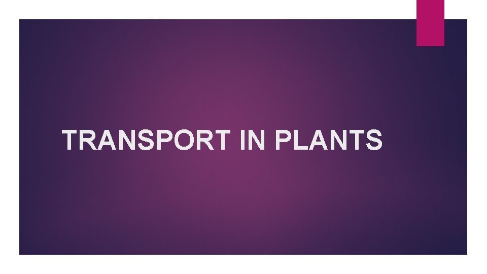 TRANSPORT IN PLANTS 