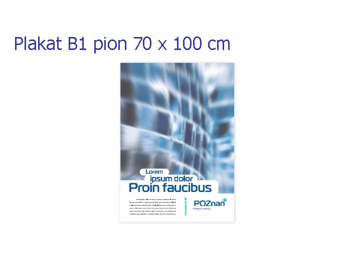 Plakat B 1 pion 70 x 100 cm 