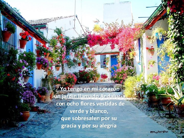 Yo tengo en mi corazón un jardín llamado Andalucía, con ocho flores vestidas de