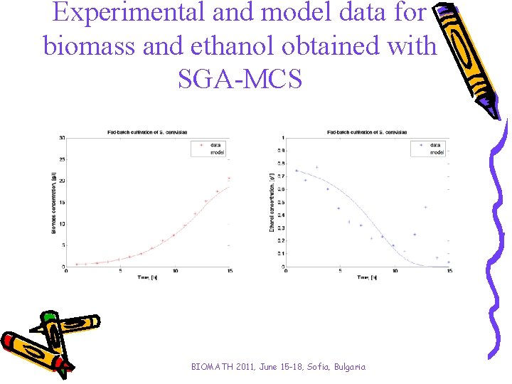 Experimental and model data for biomass and ethanol obtained with SGA-MCS BIOMATH 2011, June