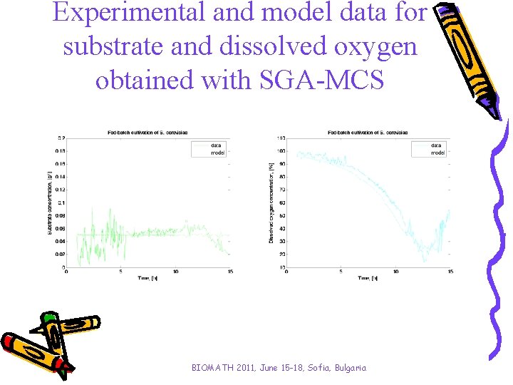 Experimental and model data for substrate and dissolved oxygen obtained with SGA-MCS BIOMATH 2011,