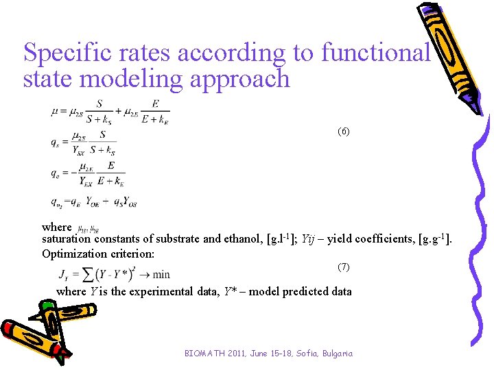 Specific rates according to functional state modeling approach (6) where saturation constants of substrate