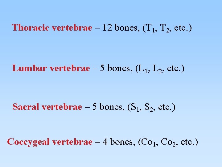 Thoracic vertebrae – 12 bones, (T 1, T 2, etc. ) Lumbar vertebrae –