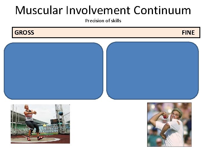 Muscular Involvement Continuum Precision of skills GROSS • Gross skills are those which involve
