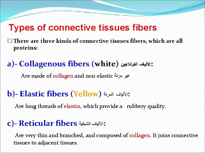 Types of connective tissues fibers � There are three kinds of connective tissues fibers,