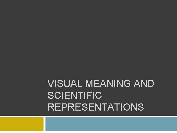 VISUAL MEANING AND SCIENTIFIC REPRESENTATIONS 