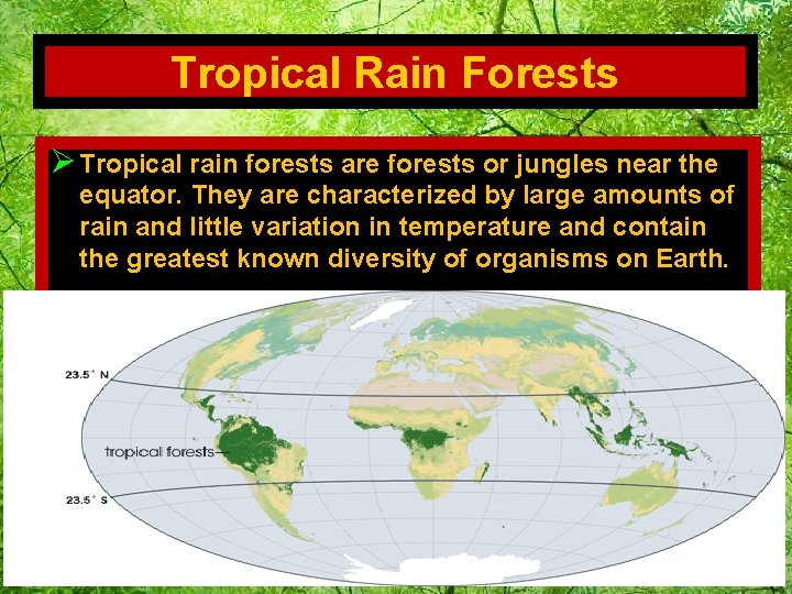 Tropical Rain Forests Ø Tropical rain forests are forests or jungles near the equator.