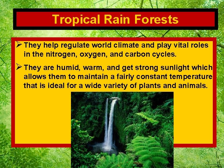 Tropical Rain Forests Ø They help regulate world climate and play vital roles in