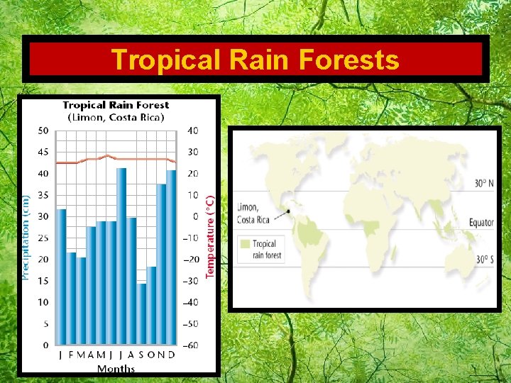 Tropical Rain Forests 
