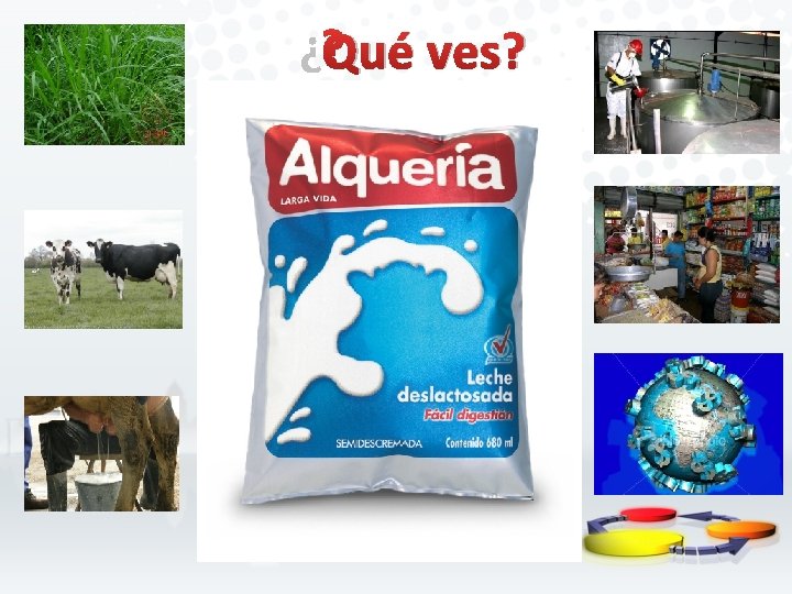 ¿Qué ves? 