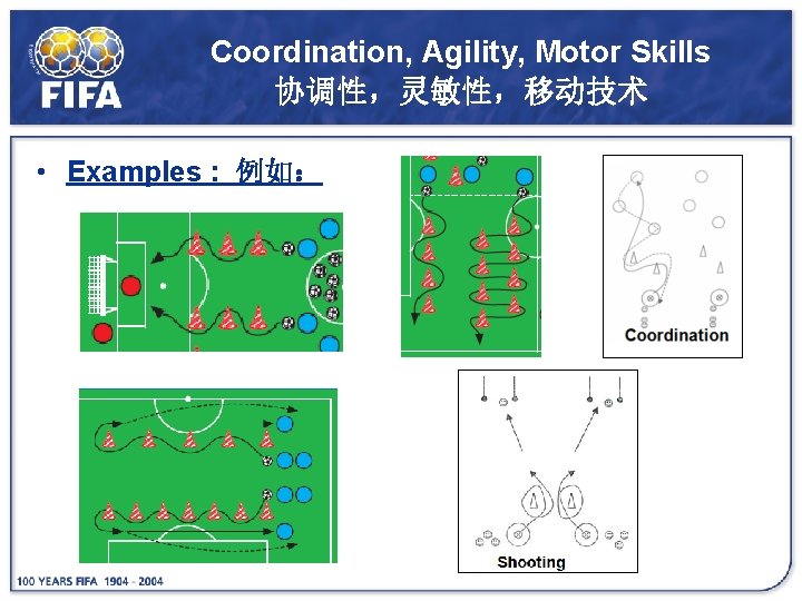 Coordination, Agility, Motor Skills 协调性，灵敏性，移动技术 • Examples : 例如： 