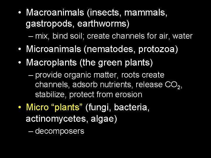  • Macroanimals (insects, mammals, gastropods, earthworms) – mix, bind soil; create channels for
