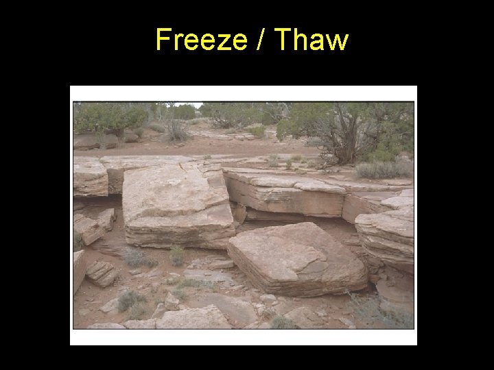 Freeze / Thaw 