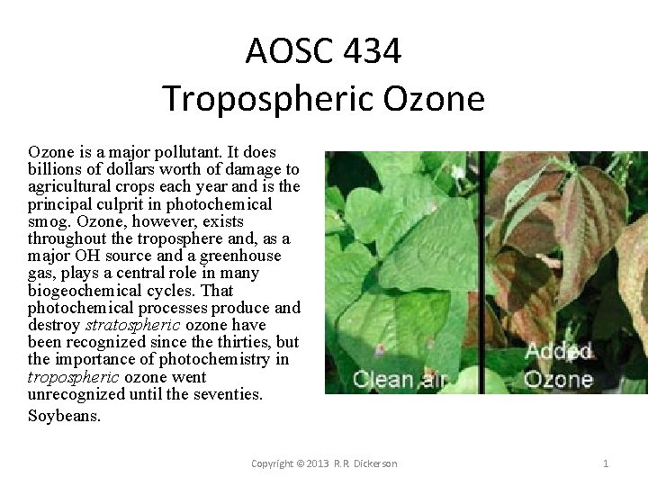 AOSC 434 Tropospheric Ozone is a major pollutant. It does billions of dollars worth