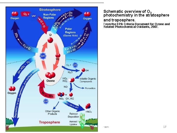 Schematic overview of O 3 photochemistry in the stratosphere and troposphere. From the EPA