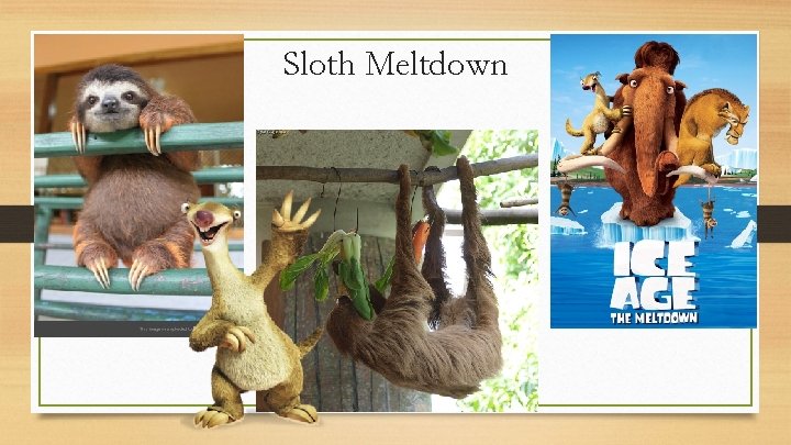 Sloth Meltdown 