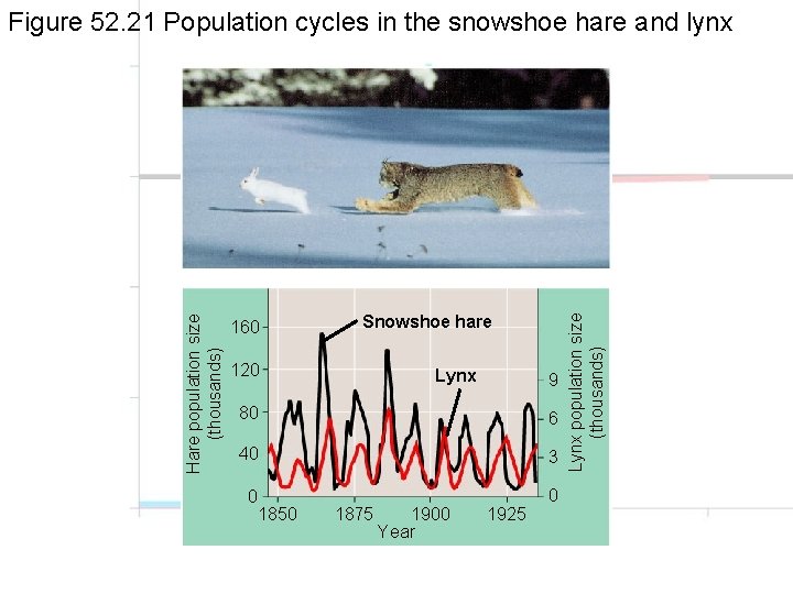 160 Snowshoe hare 120 Lynx 9 80 6 40 3 0 0 1850 1875
