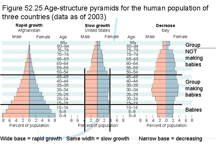 Figure 52. 25 Age-structure pyramids for the human population of three countries (data as