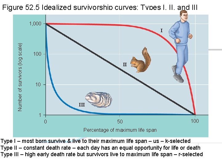 Figure 52. 5 Idealized survivorship curves: Types I, II, and III 1, 000 Number
