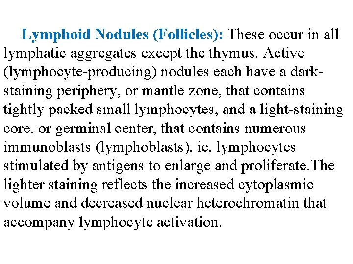 Lymphoid Nodules (Follicles): These occur in all lymphatic aggregates except the thymus. Active (lymphocyte-producing)