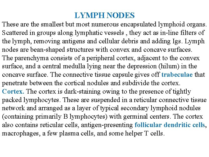 LYMPH NODES These are the smallest but most numerous encapsulated lymphoid organs. Scattered in