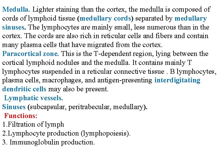 Medulla. Lighter staining than the cortex, the medulla is composed of cords of lymphoid