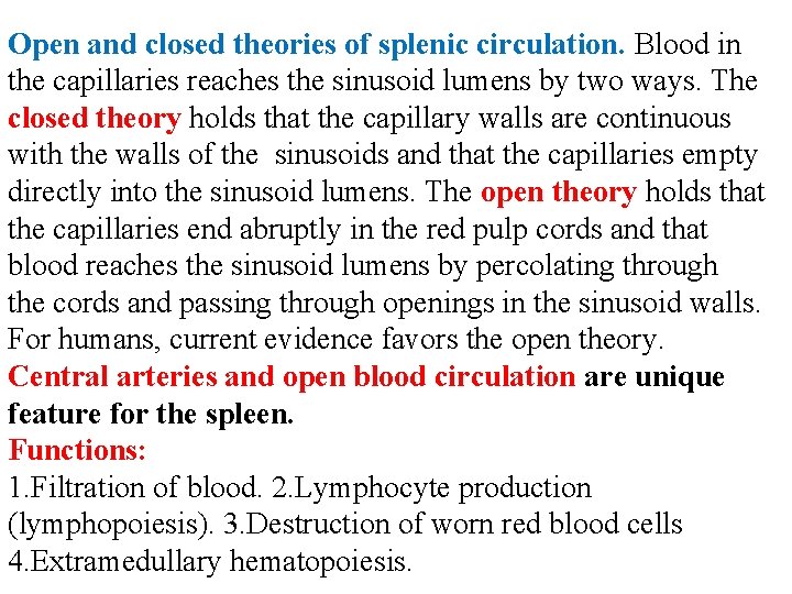 Open and closed theories of splenic circulation. Blood in the capillaries reaches the sinusoid