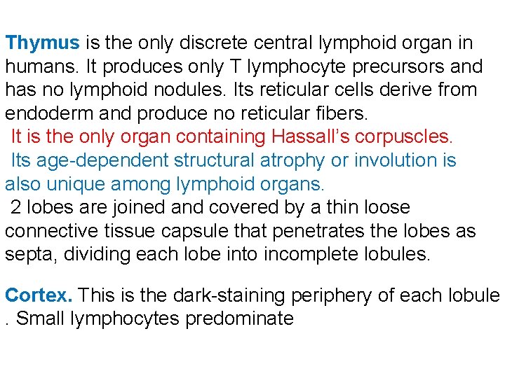 Thymus is the only discrete central lymphoid organ in humans. It produces only T