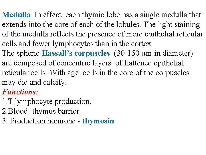 Medulla. In effect, each thymic lobe has a single medulla that extends into the