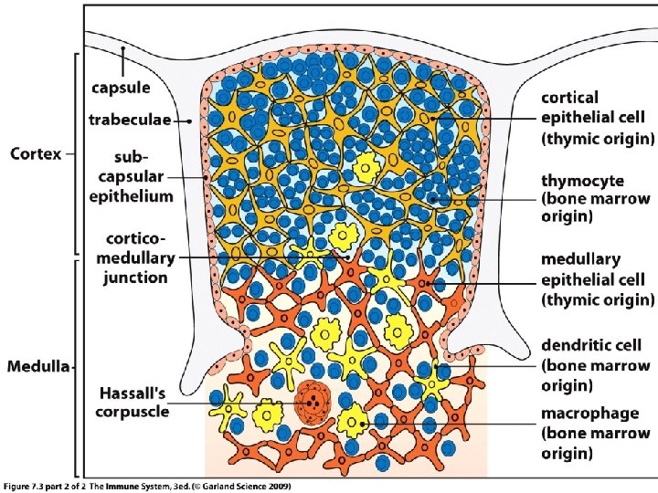 Figure 5 -3 part 2 of 2 
