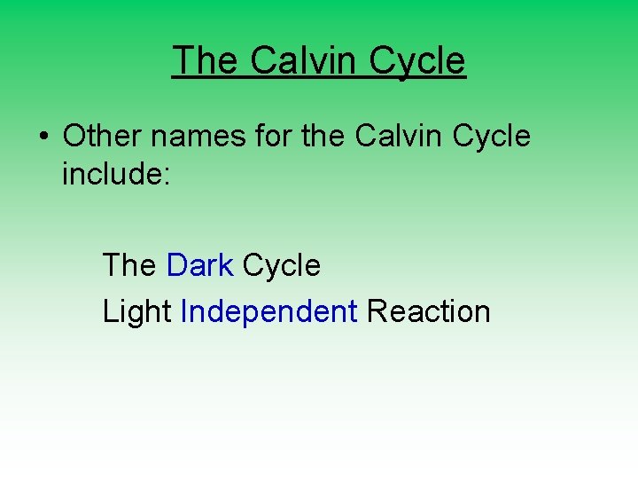 The Calvin Cycle • Other names for the Calvin Cycle include: The Dark Cycle