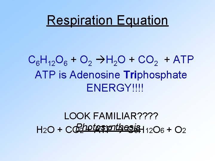 Respiration Equation C 6 H 12 O 6 + O 2 H 2 O