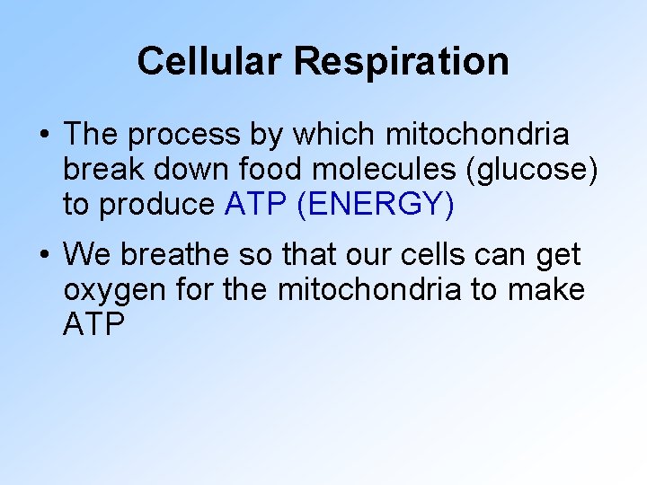 Cellular Respiration • The process by which mitochondria break down food molecules (glucose) to