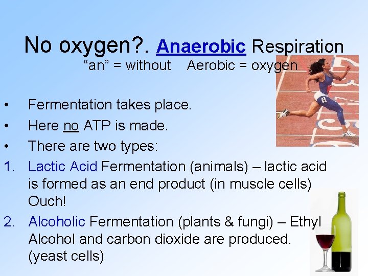 No oxygen? . Anaerobic Respiration “an” = without • • • 1. Aerobic =