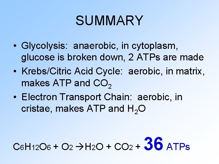 SUMMARY • Glycolysis: anaerobic, in cytoplasm, glucose is broken down, 2 ATPs are made